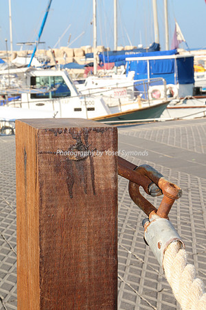 Jaffa Fishing Port