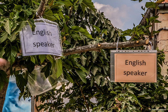 Linguistic Tree Shingles