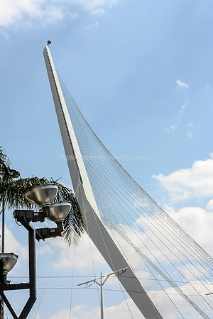 String Bridge Wires 1