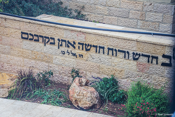 Yeshiva Grounds 1
