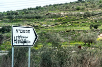 Sebastia-Shomron Illegal Flags