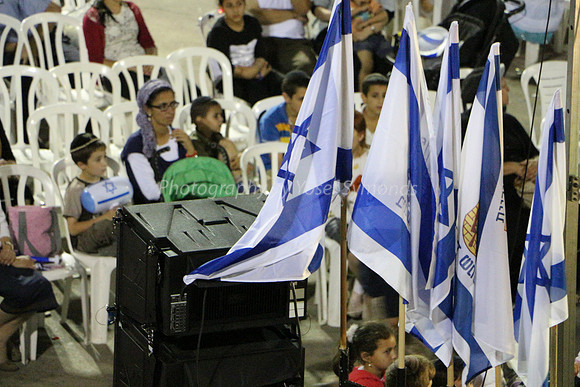 Independence Day Celebration Flags 13