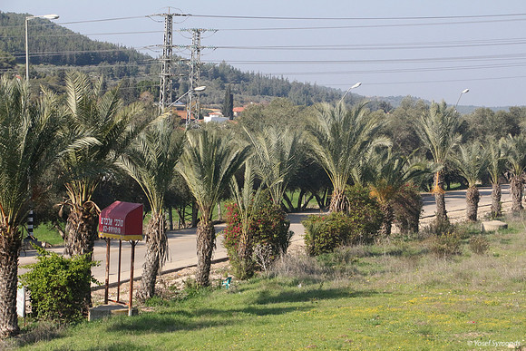 Road to Ishi Settlement