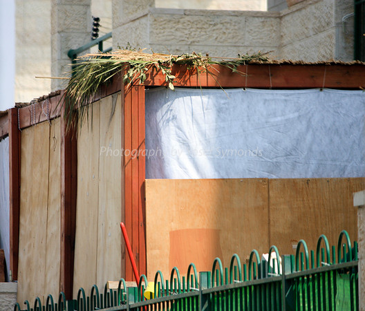 Cleaner Sukkah