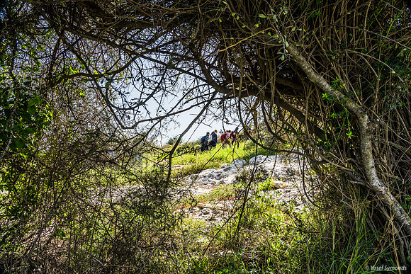 Pilgrims On the Hill  230228-1