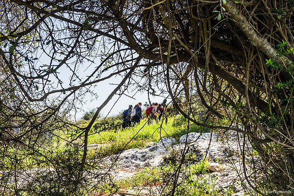 Pilgrims On the Hill 230228-3