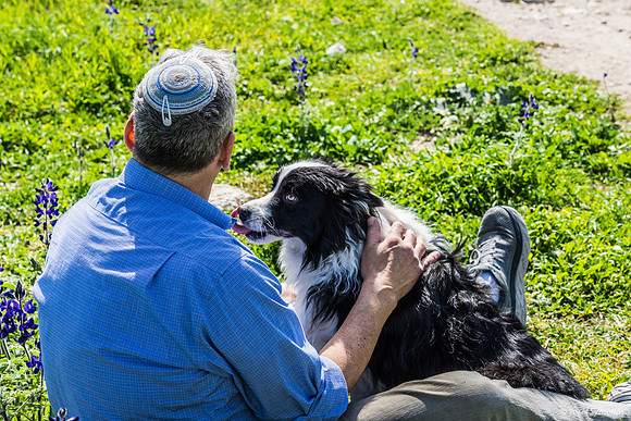 Man Is a Dog's Best Friend 230228-1
