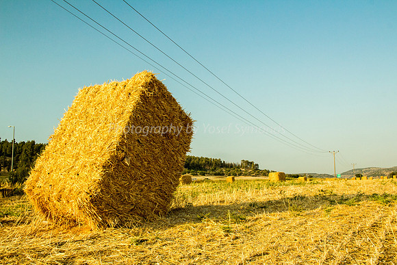 Haystacks in Field 170721-31