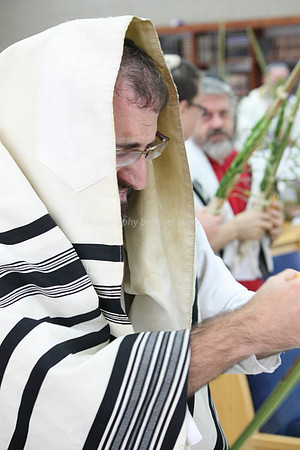 111017-Hoshanas-OhrShalom-Sukk_7808