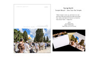 TEMPLE MOUNT