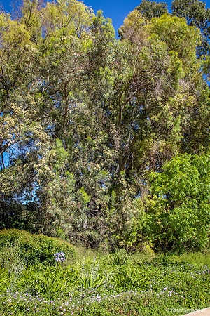 Park of 73 Obelisk Rocks 9
