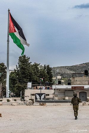 Contradictory Allegiance? Sebastia - Area C Shomron 230322-1