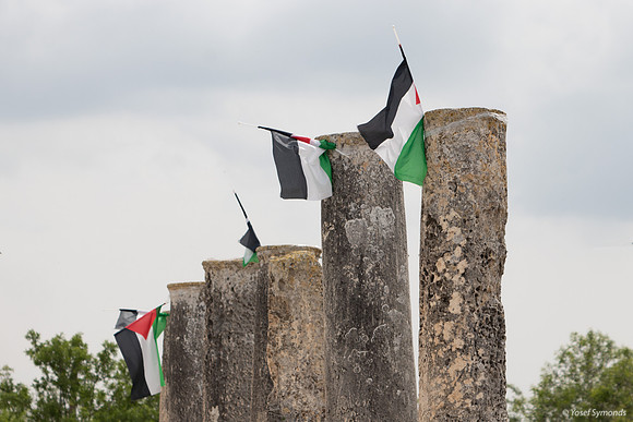 Palestinian Flags 230322-3