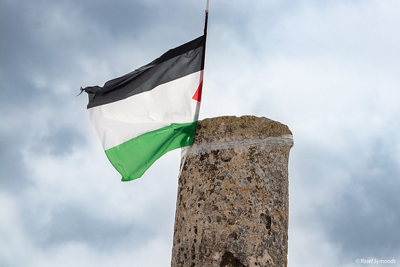 Palestinian Flags 230322-4