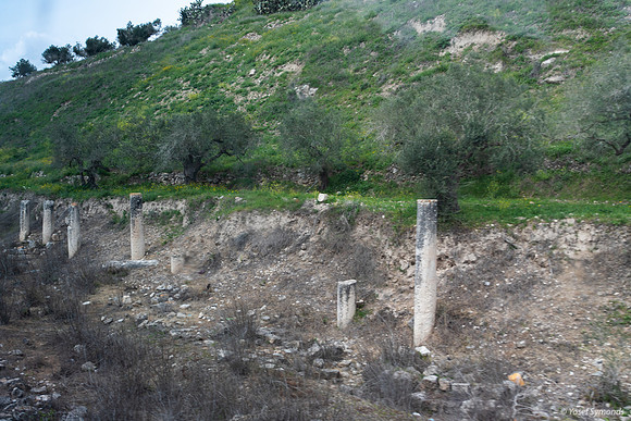 Tel Sebastia to Train Station Masudiya (Sebastia) 230322-2