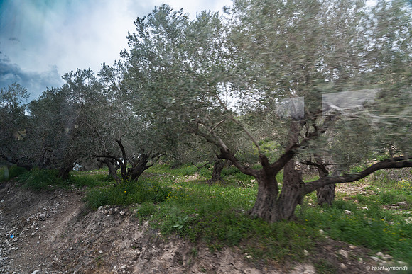 Tel Sebastia to Train Station Masudiya (Sebastia) 230322-1
