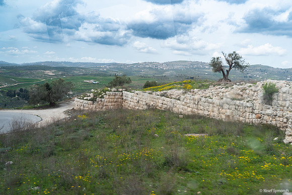 Tel Sebastia to Train Station Masudiya (Sebastia) 230322-5