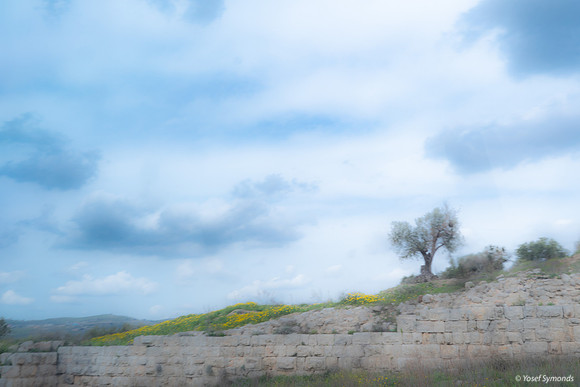 Tel Sebastia to Train Station Masudiya (Sebastia) 230322-6