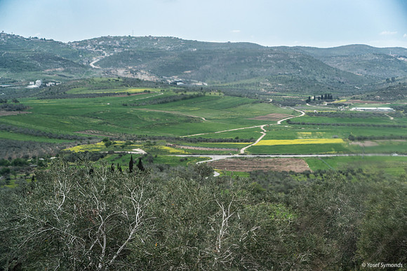 Tel Sebastia to Train Station Masudiya (Sebastia) 230322-10