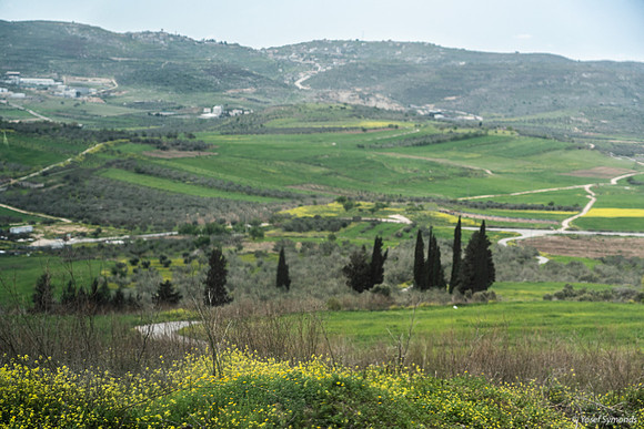 Tel Sebastia to Train Station Masudiya (Sebastia) 230322-11