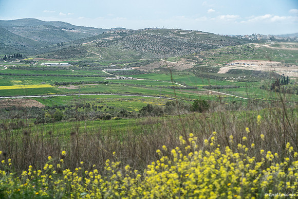 Tel Sebastia to Train Station Masudiya (Sebastia) 230322-12