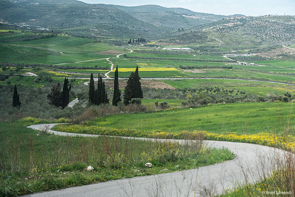 Tel Sebastia to Train Station Masudiya (Sebastia) 230322-13