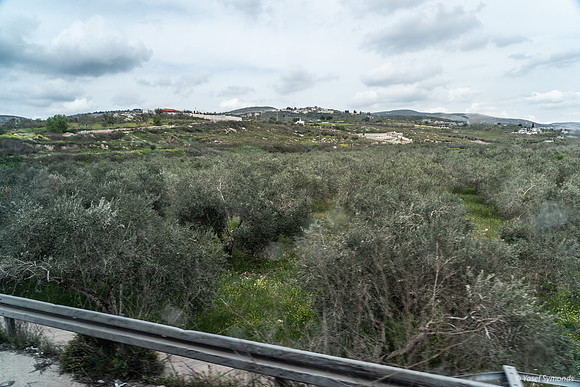 Tel Sebastia to Train Station Masudiya (Sebastia) 230322-20