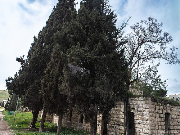 Old Train Station - Sebastia 230322-8