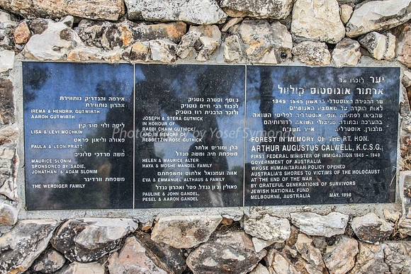 Martyrs Forest - Calwell Memorial Stone
