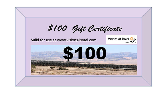 $100 Gift Certificate