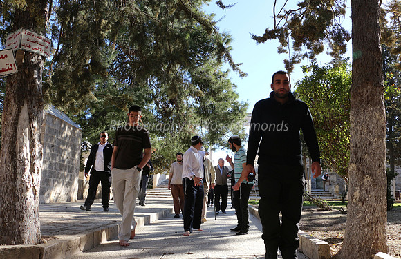 Jewish Group Sheparded by Wakf Away from Western Steps