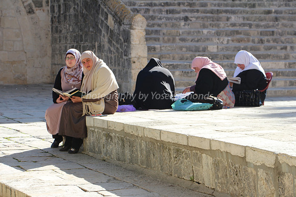 Arab women Study Group 1