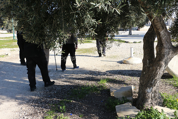 Group Moving towards Eastern Side 2