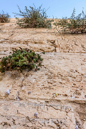 Western Wall Overhead 2