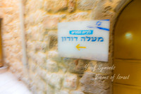DSC02919