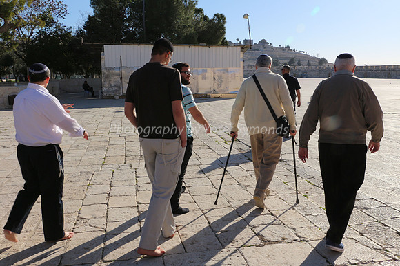 Jewish Group Walking on Southern Area of Temple Mount