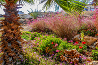 Public Garden Givat Asaf 131204-1