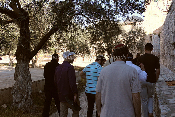 Group Proceeding Northwards 2