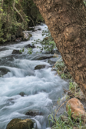 130528-Hula_Valley-2391-2