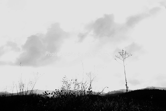 Mishkafayim 2014 Q3 7990A