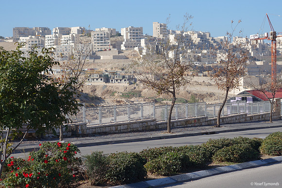 Mem3 Development with Gimmel1 in Background