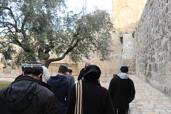 Jewish Group Deep in Thought on Eastern Perimeter