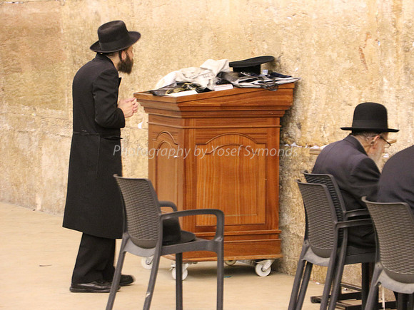 Men Praying at Kotel 7