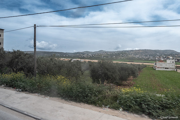 DSC01078