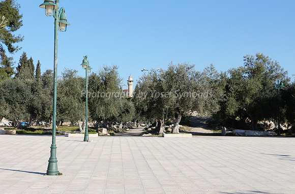 View from South towards Original Women's Court