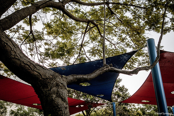 Playground Canopies on Maor Street 2