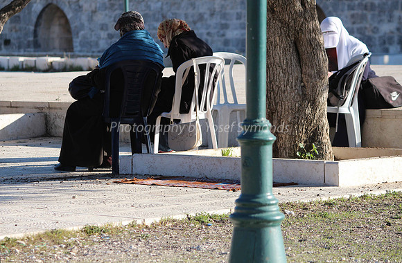 140209-HarHabayit-9804