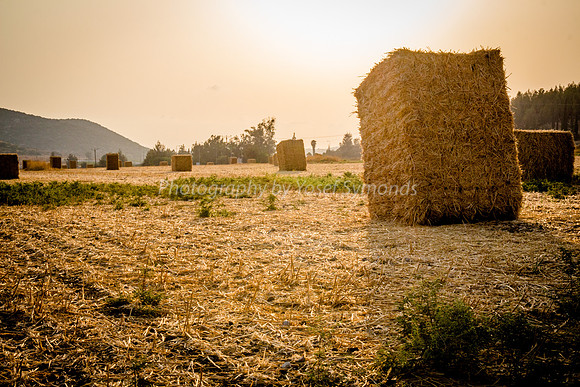 Haystacks in Field Against Sun 170721-9
