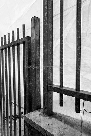 Fence and Canvas