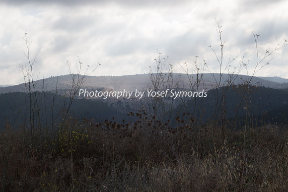 Mishkafayim 2014 Q3 7991